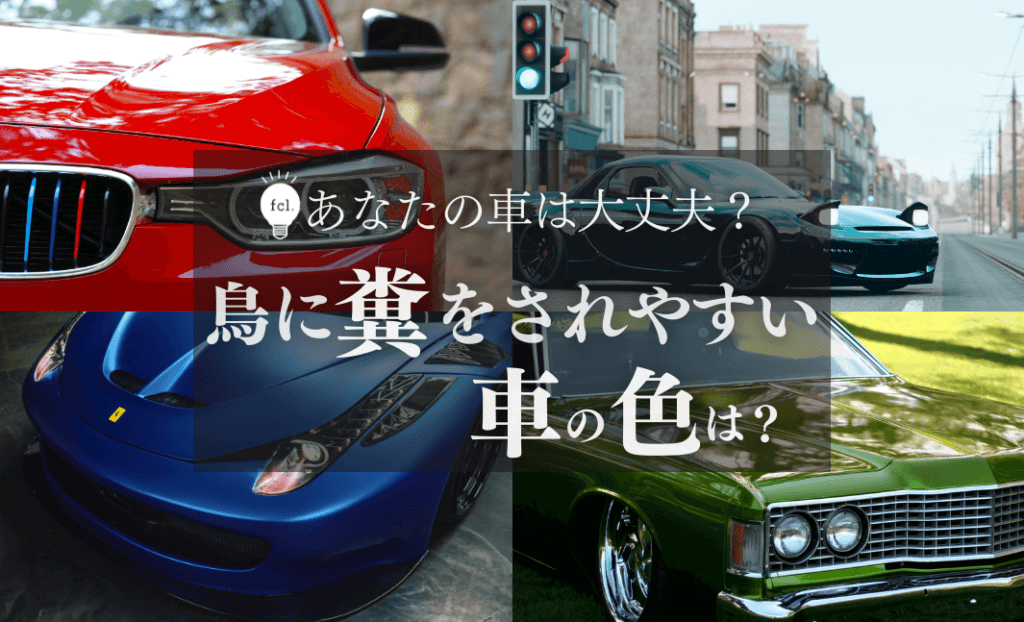 あなたの車は大丈夫 鳥にフンをされやすい車の色とは Fcl Carpedia エフシーエル カーペディア